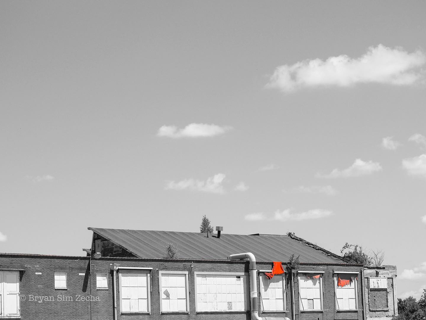 -
Because today there’s only orange #kingsday (1/3)

#photography #arnhem #street #streetphotography #outdoorphotography #ingelderland #nederland #netherlands #wanderer #olympus #omsystem #olympusomd #em10markii #em10mark2 #m43 #m43photography #nederland_fotografeert #visit_arnhem #koningsdag #koningsdag2023 #kingsday2023 #orange #oranje 
@ingelderland @visitarnhem